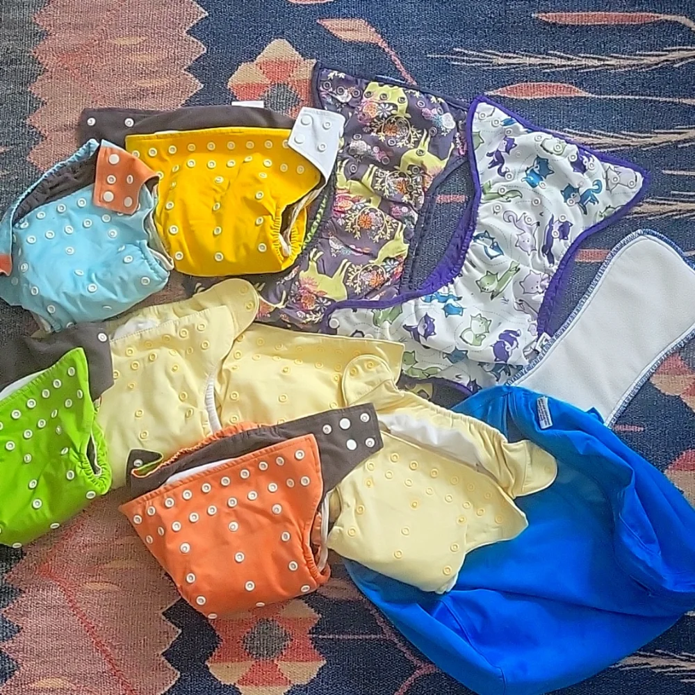 Cloth Diaper Bundle - Picture 1 of 4